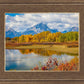 Changing Seasons