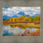 Changing Seasons