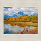 Changing Seasons