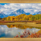 Changing Seasons