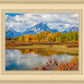Changing Seasons