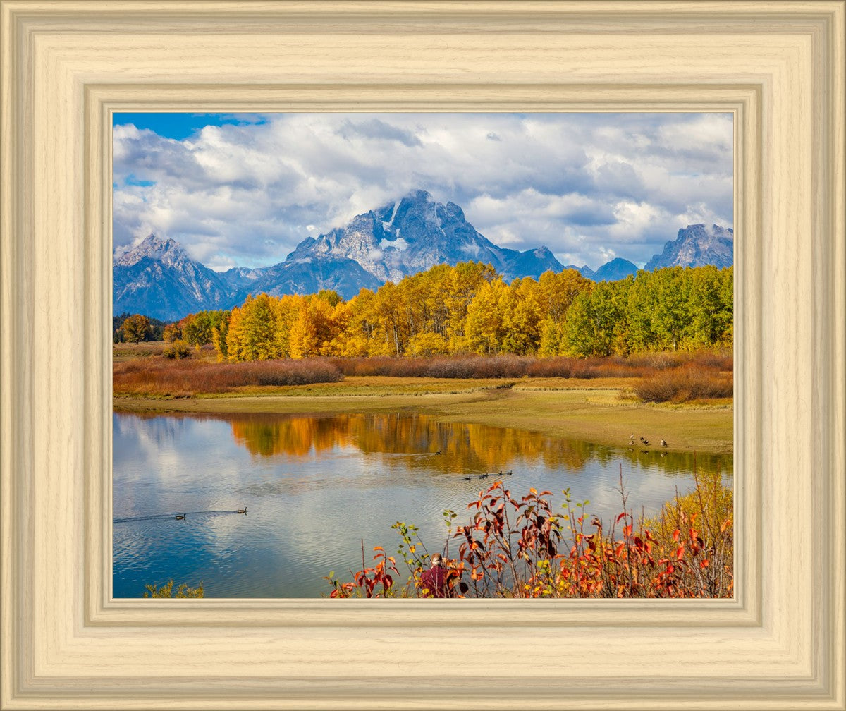 Changing Seasons