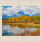 Changing Seasons