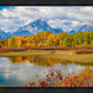 Changing Seasons