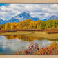 Changing Seasons