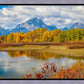 Changing Seasons