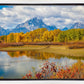 Changing Seasons