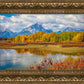 Changing Seasons
