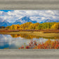 Changing Seasons