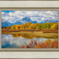 Changing Seasons