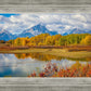 Changing Seasons