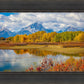 Changing Seasons