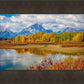 Changing Seasons