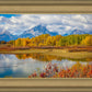 Changing Seasons