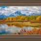 Changing Seasons