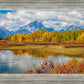 Changing Seasons
