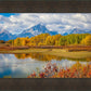Changing Seasons