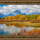 Changing Seasons