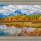 Changing Seasons