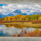 Changing Seasons