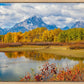Changing Seasons