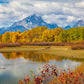 Changing Seasons