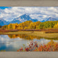 Changing Seasons