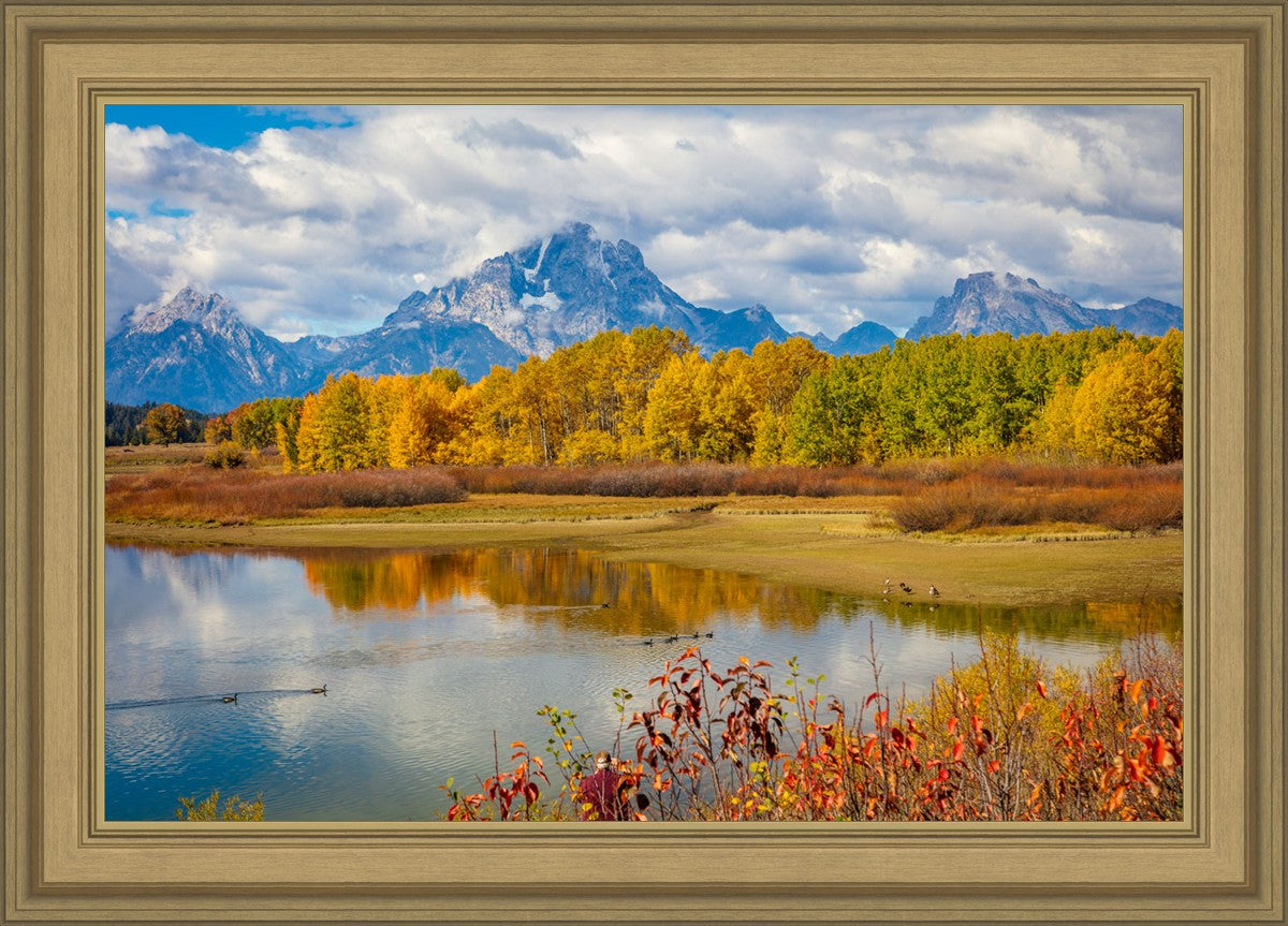 Changing Seasons