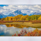 Changing Seasons