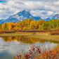 Changing Seasons