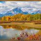 Changing Seasons