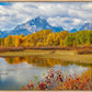 Changing Seasons