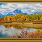Changing Seasons