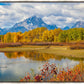 Changing Seasons