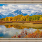 Changing Seasons