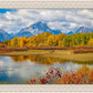 Changing Seasons