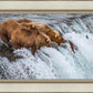 Grizzly Bears Fishing for Salmon at Katmai National Park Brooks Falls, Alaska