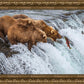 Grizzly Bears Fishing for Salmon at Katmai National Park Brooks Falls, Alaska