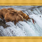 Grizzly Bears Fishing for Salmon at Katmai National Park Brooks Falls, Alaska