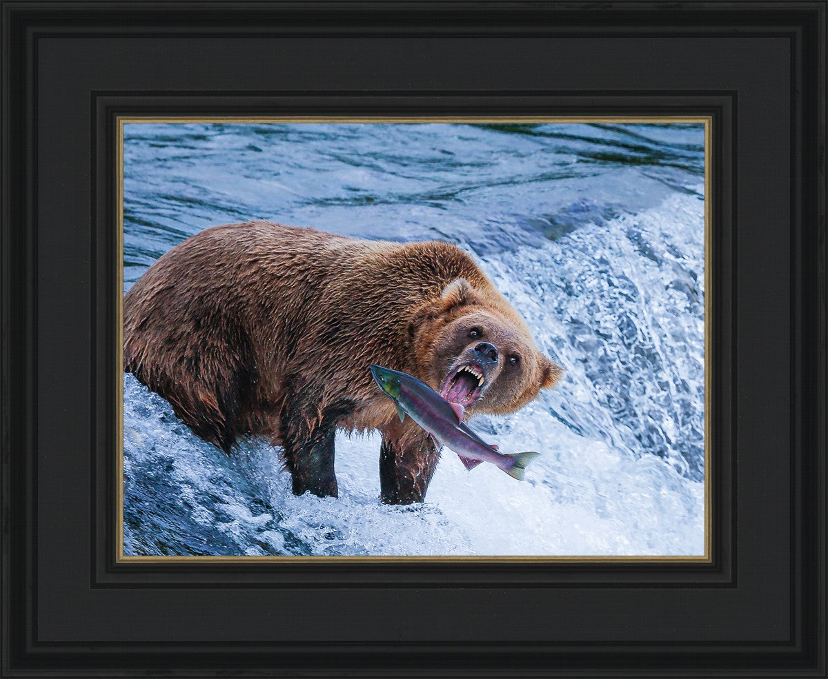 Catch of the Day