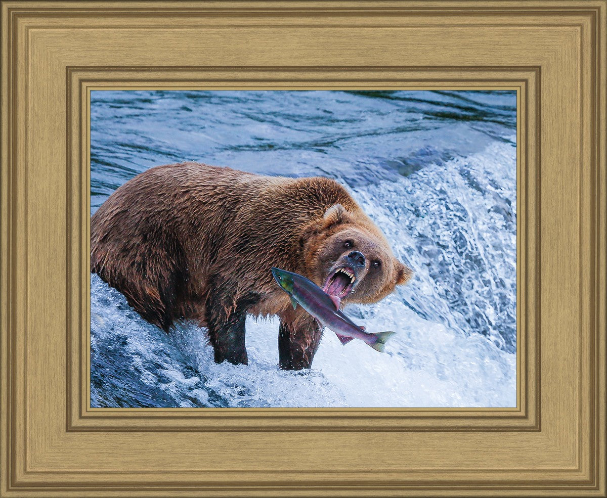 Catch of the Day