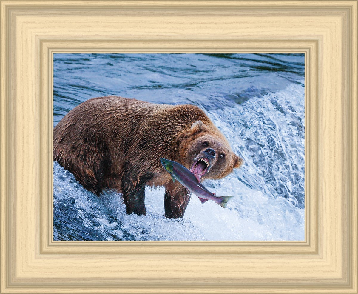 Catch of the Day