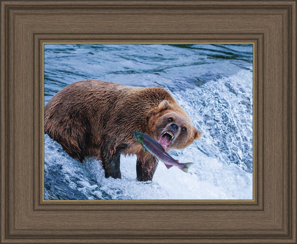 Catch of the Day