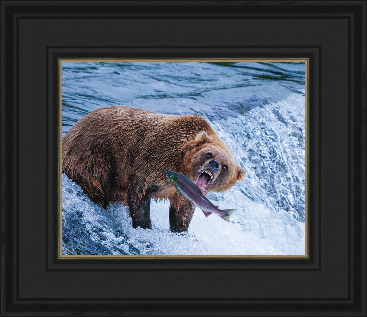 Catch of the Day