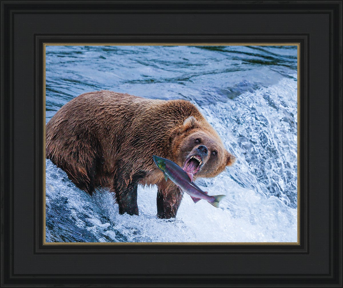 Catch of the Day