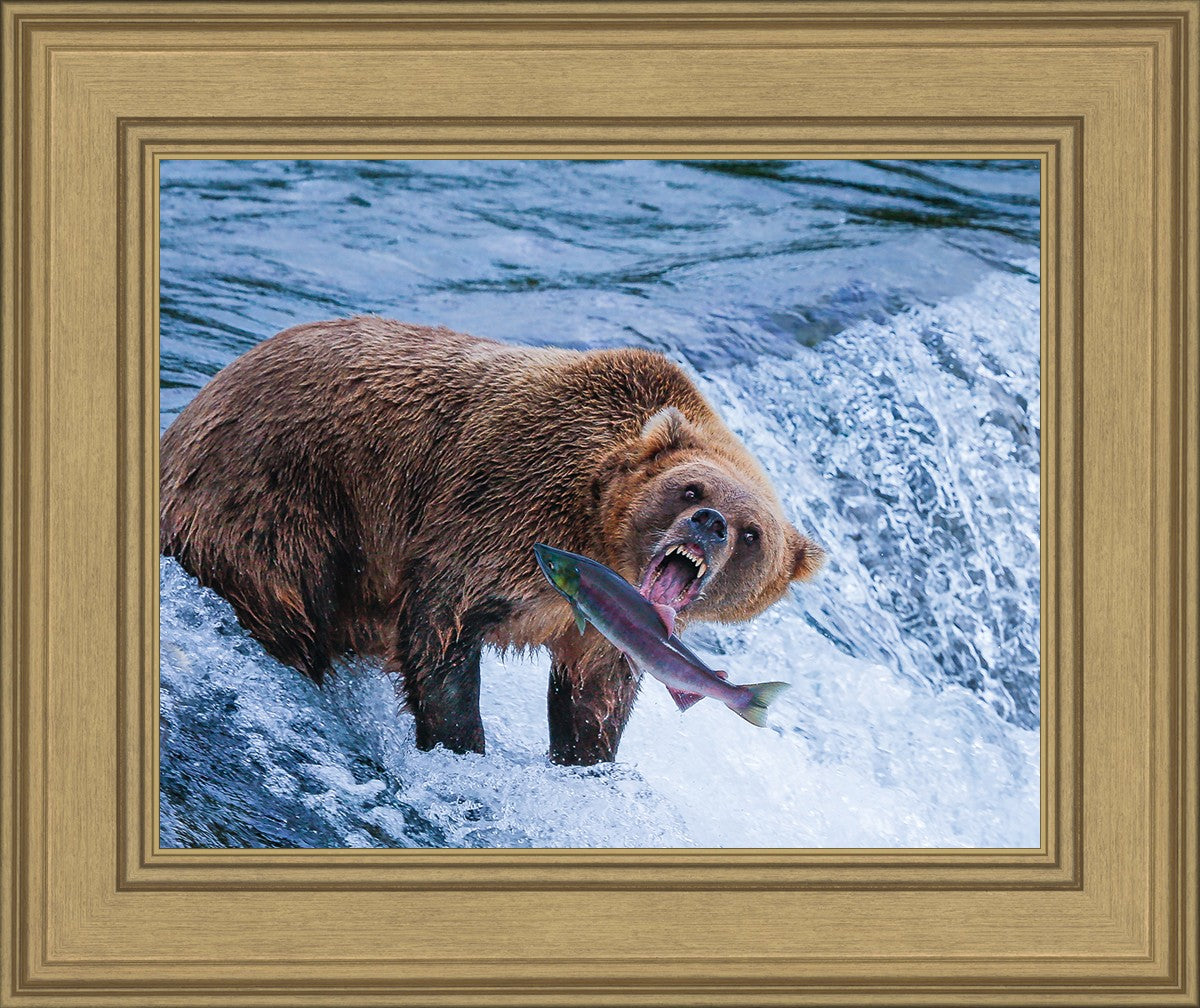 Catch of the Day