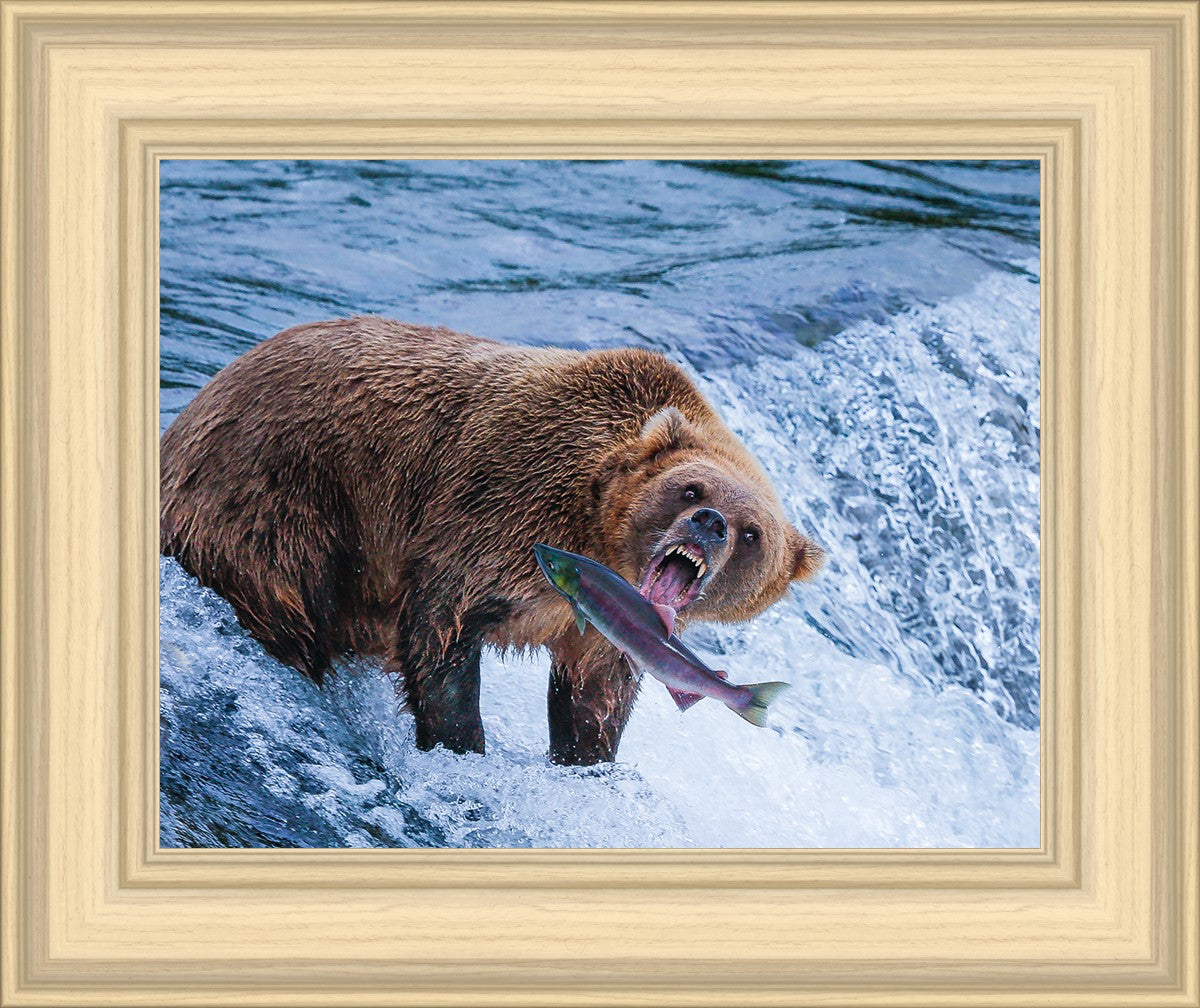 Catch of the Day