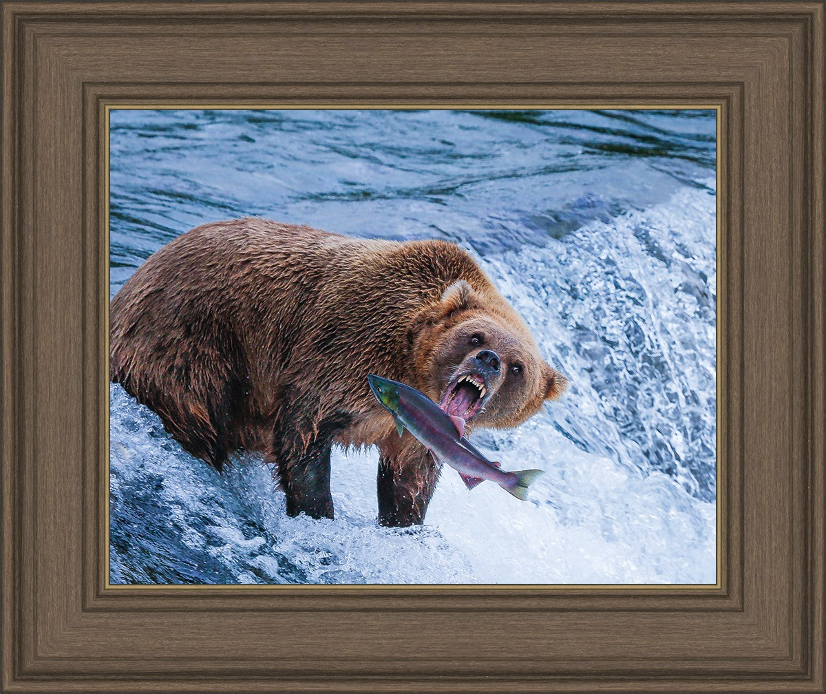 Catch of the Day