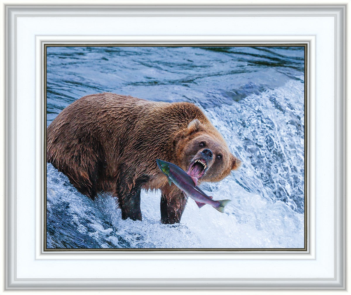 Catch of the Day