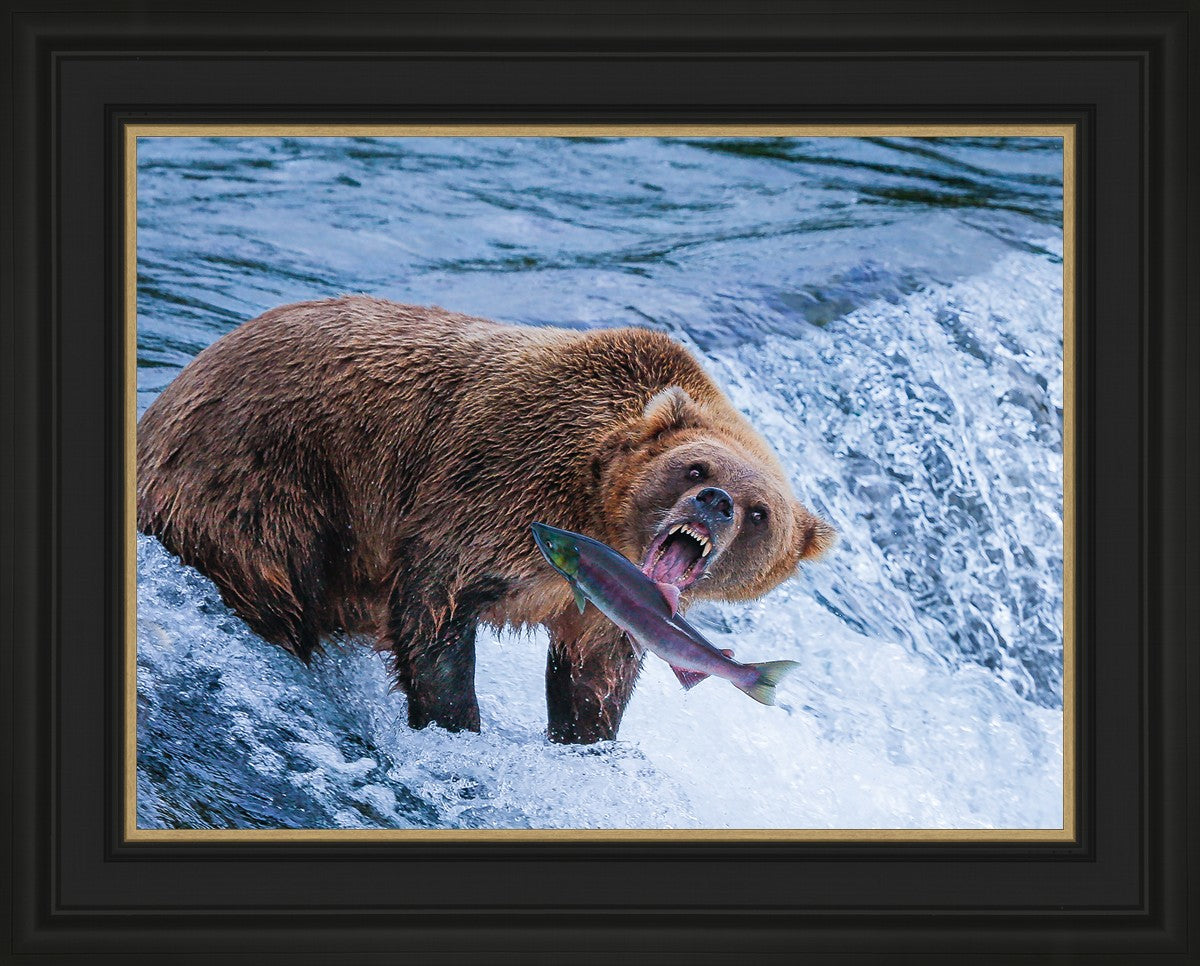 Catch of the Day